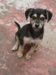 Jack