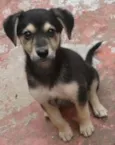 Jack