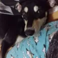 Princesa