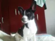 Marley