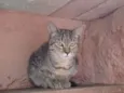 Rita