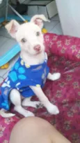 Lola