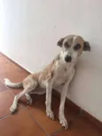 perla