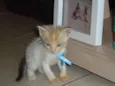 GUGU