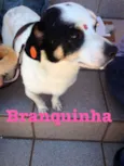 Branquinha