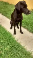 PRETINHA E PRETINHO