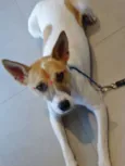 Kira
