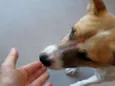 Kira