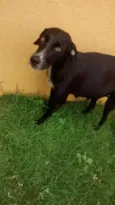 PRETINHA