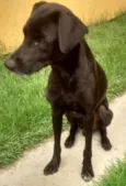 PRETINHA E PRETINHO