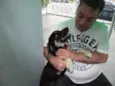 Cachorro raça SRD idade 2 a 6 meses nome Juquinha