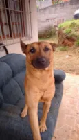 Scoby Doo