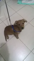 Brigadeiro Iago