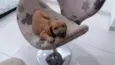 Paçoca