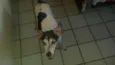 luma