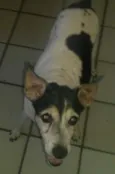 luma