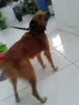 Spark
