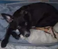 Bebezinho