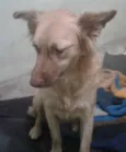 Lindinha