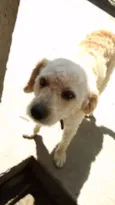 Billy