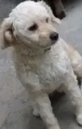Billy