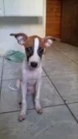 Ainda sem nome