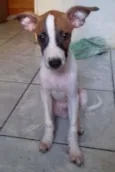 Ainda sem nome