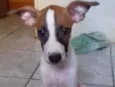 Ainda sem nome