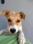 Nina