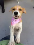 Nina