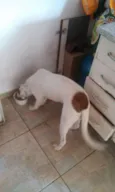 fred
