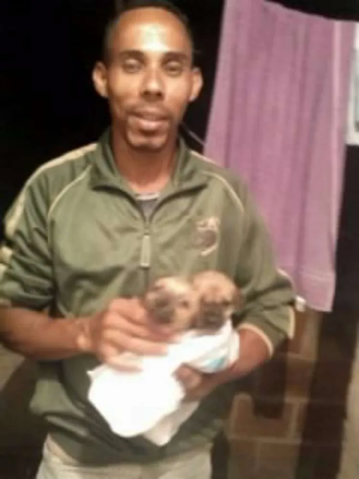 Cachorro raça vira -lata idade Abaixo de 2 meses nome ñ tem