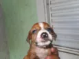 sem nome