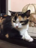 Lola