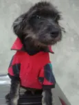 roberto