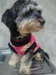 tina