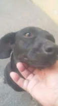 Pepe
