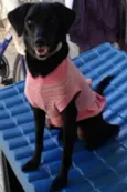 Mel 
