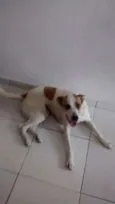 Raika