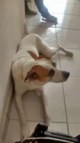 Raika
