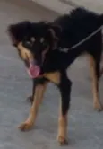 Bob