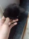 não tem