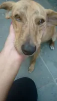 Bob