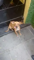 Bob
