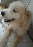 Romildo 