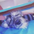 Nina