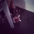 Nina