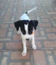 Desiré