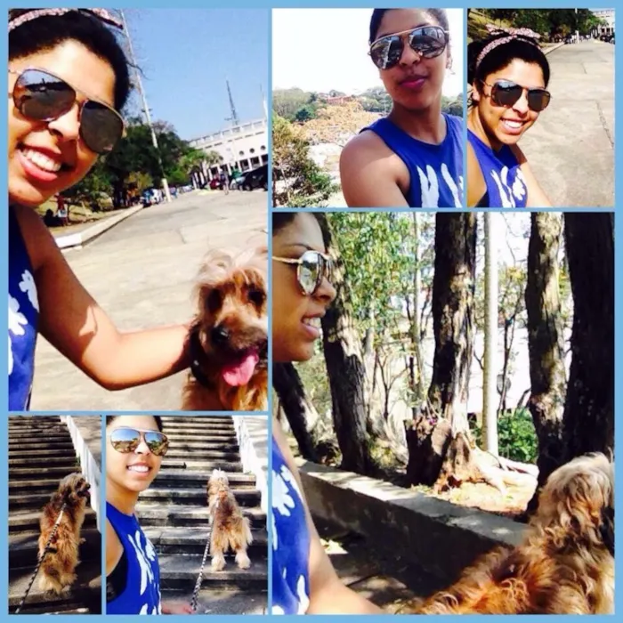 Cachorro ra a SRD idade 6 ou mais anos nome Wood