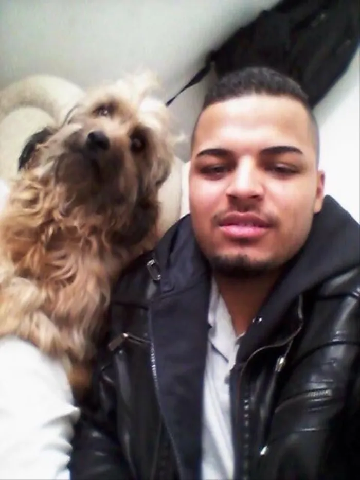 Cachorro ra a SRD idade 6 ou mais anos nome Wood